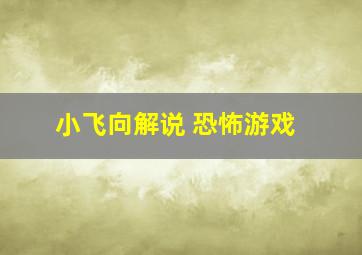 小飞向解说 恐怖游戏